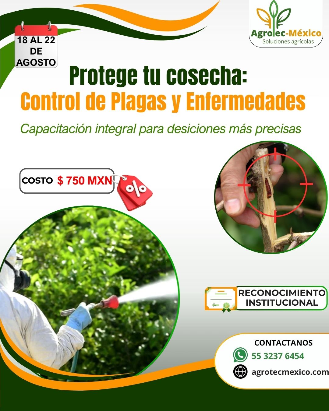 Nutrición de Vacas Lecheras